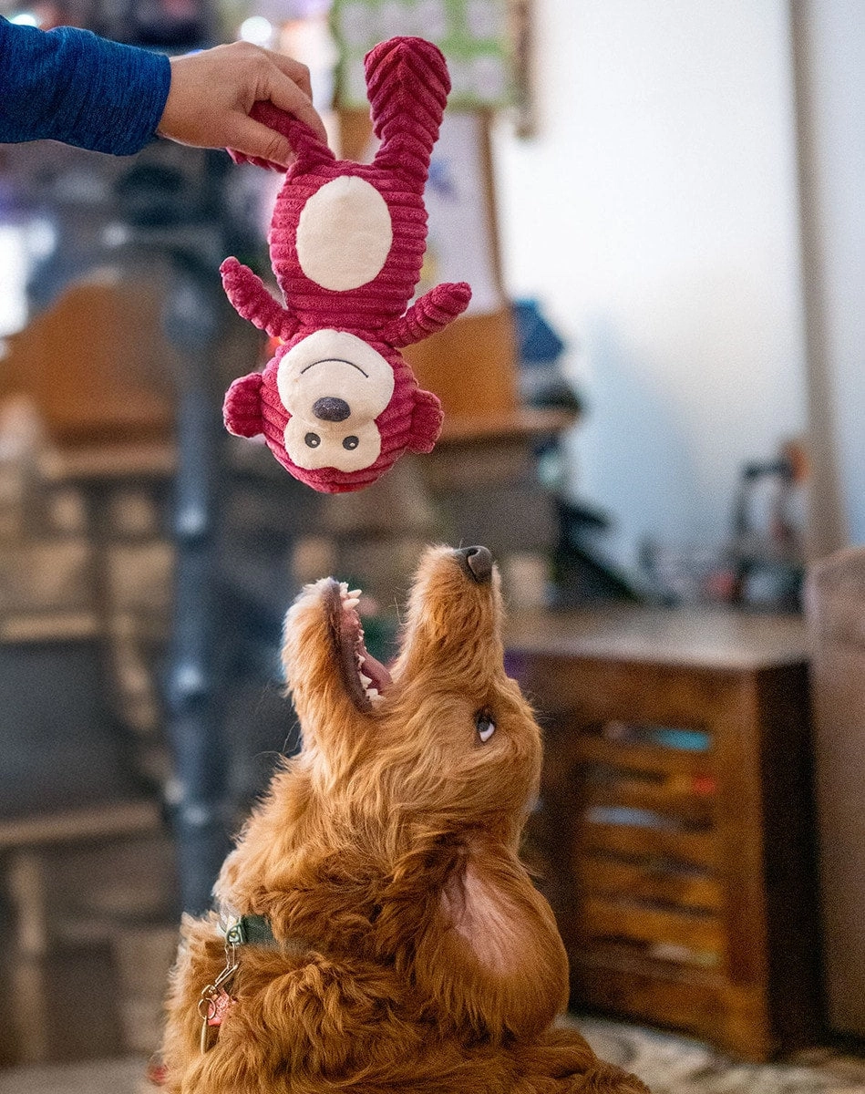 ThoozyPet Tuff & Cuddly Monkey Plush Dog Toy