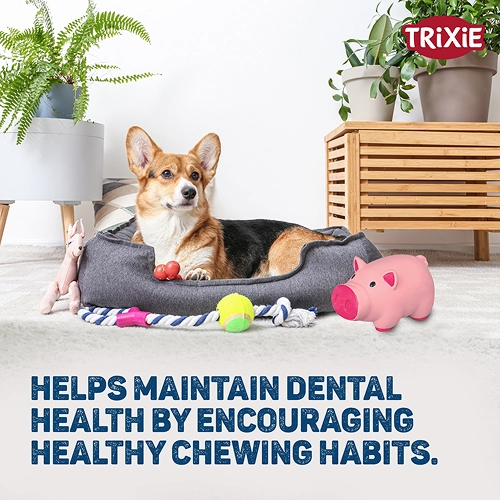 Trixie Pig Latex Intreactive chew Toy for Dogs (Blue)