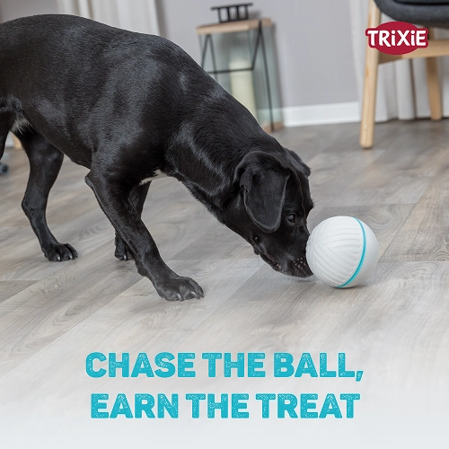 Trixie Plastic Snack Ball Toy for Dogs (Grey)