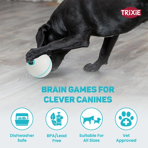 Trixie Plastic Snack Ball Toy for Dogs (Grey)