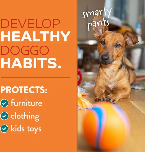TropiClean Chew Stop Behavior Aid Dog & Home Spray