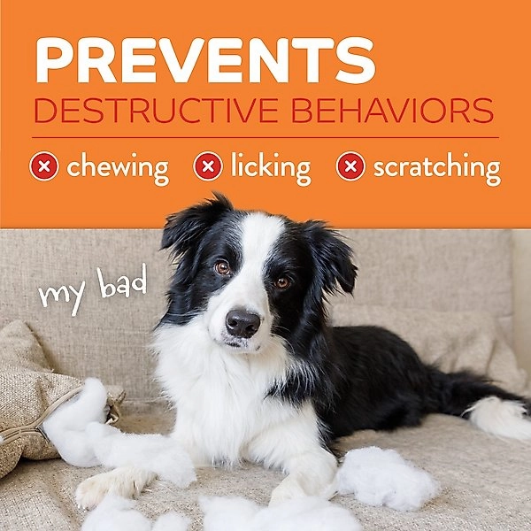 TropiClean Chew Stop Behavior Aid Dog & Home Spray