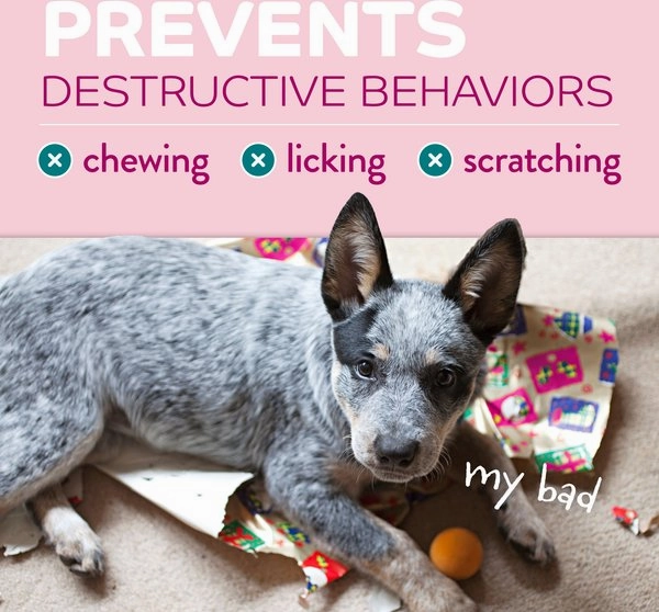 TropiClean Chew Stop Behavior Aid Puppy Deterrent Spray