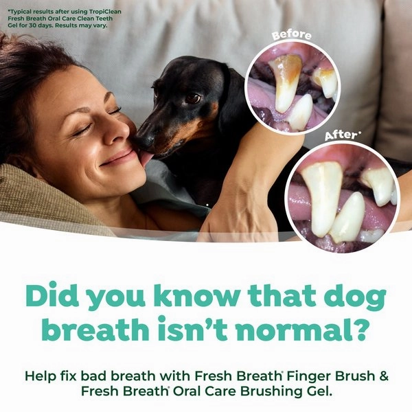 TropiClean Fresh Breath Finger Brush Dog Toothbrushes
