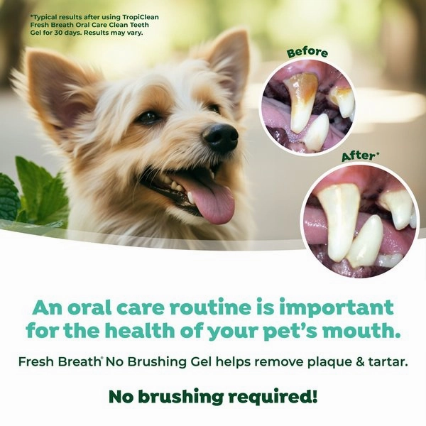 TropiClean Fresh Breath Oral Care Clean Teeth Gel for Dogs