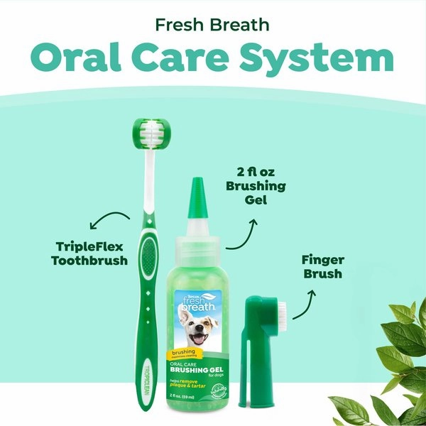 TropiClean Fresh Breath Oral Care Plaque & Tartar Remover Large Dog Toothbrush Kit