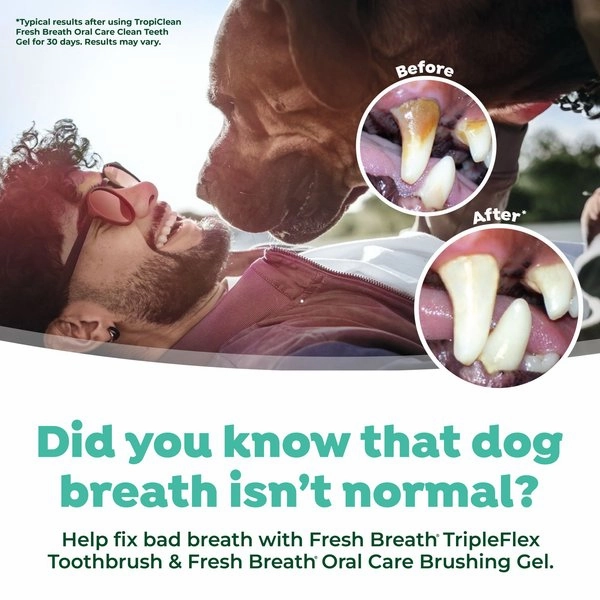 TropiClean Fresh Breath Tripleflex Plaque & Tartar Remover Large Dog Toothbrush