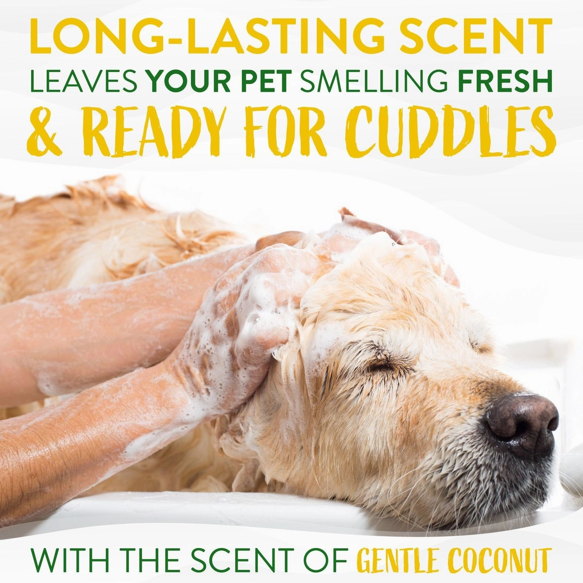 TropiClean Hypo-Allergenic Gentle Coconut Puppy & Kitten Shampoo