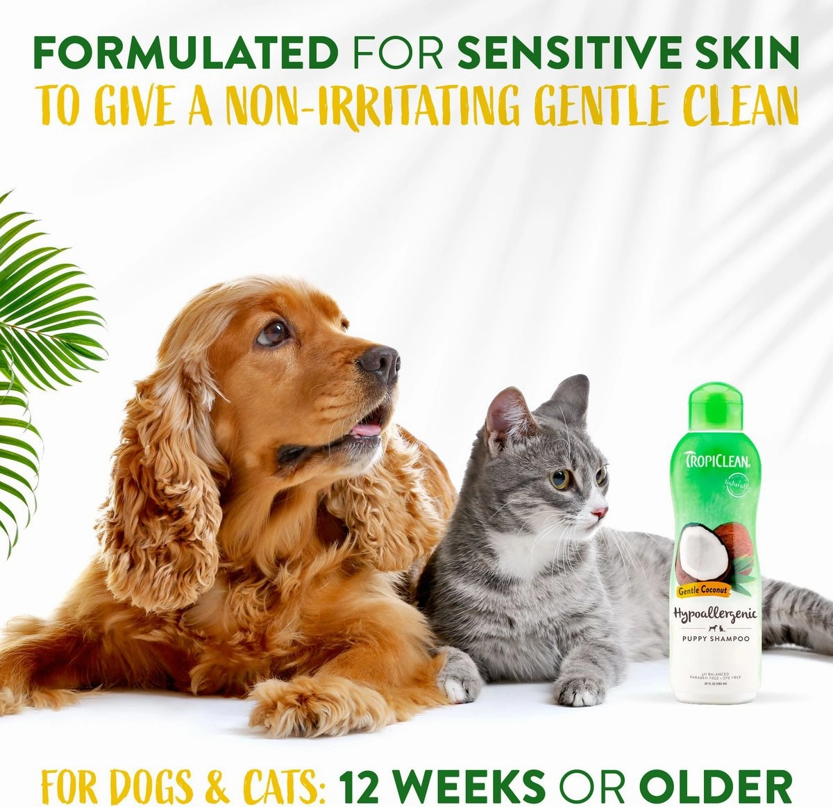 TropiClean Hypo-Allergenic Gentle Coconut Puppy & Kitten Shampoo