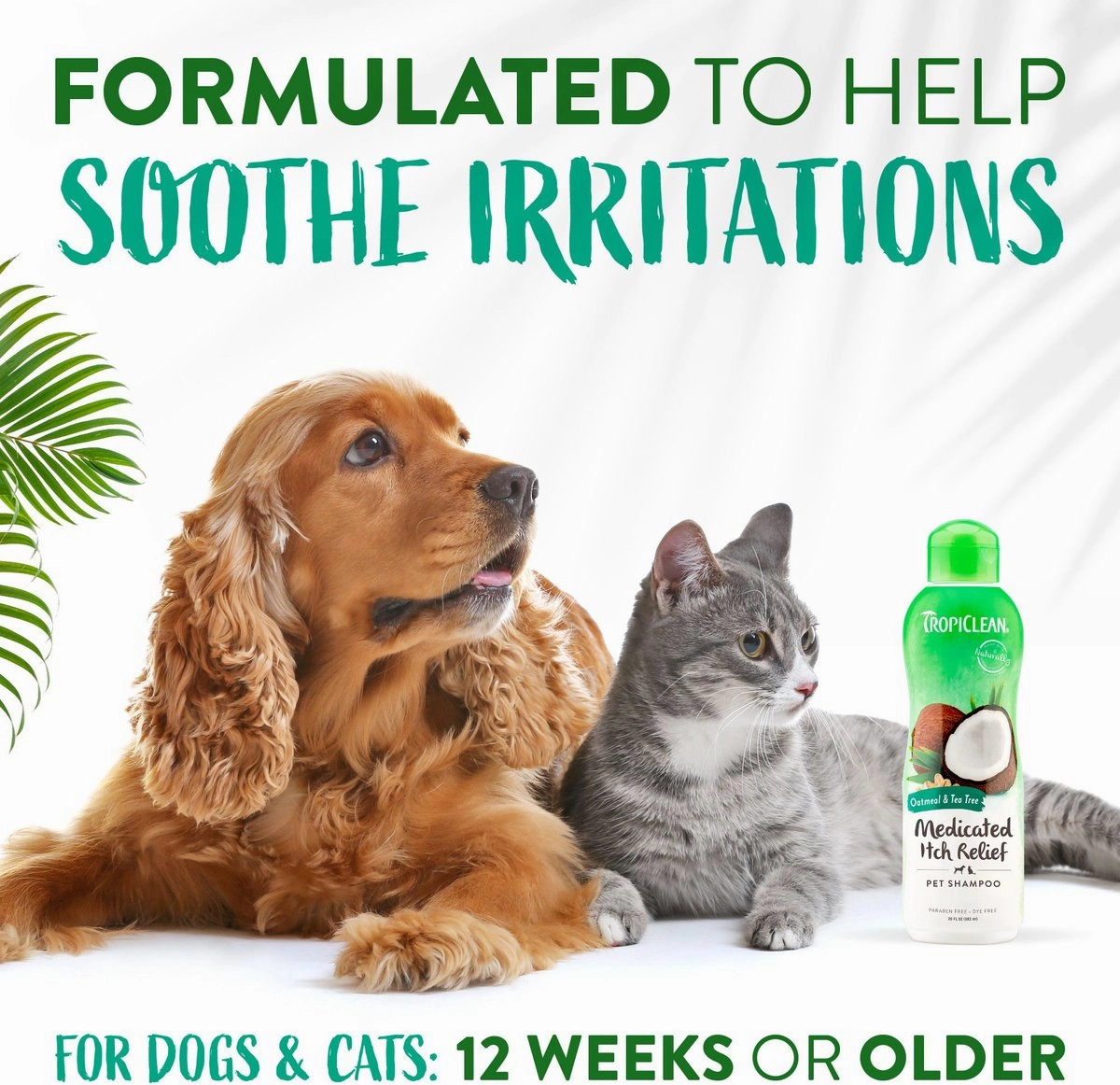 TropiClean Medicated Itchy Skin Relief Oatmeal & Tea Tree Shampoo for Dogs