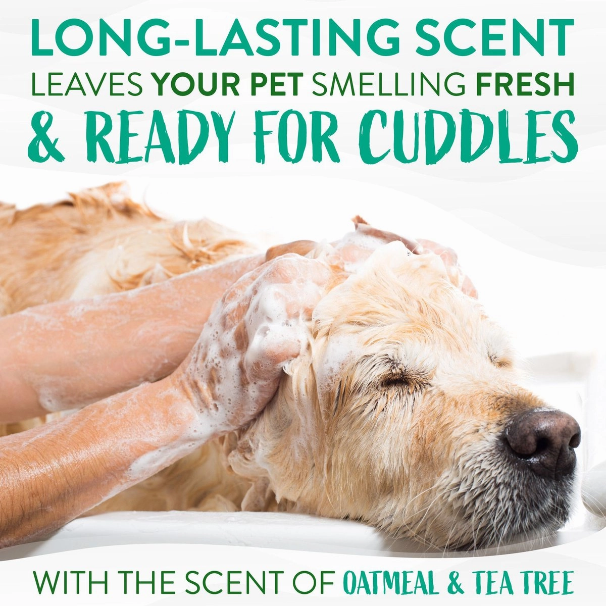 TropiClean Medicated Itchy Skin Relief Oatmeal & Tea Tree Shampoo for Dogs