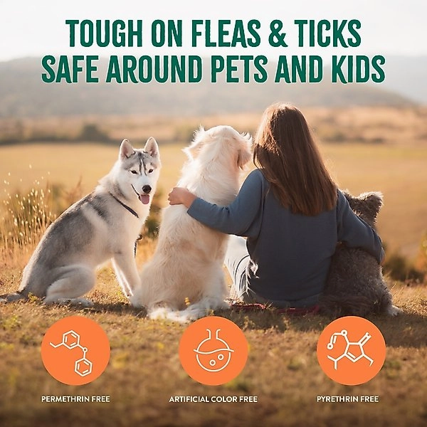 TropiClean Natural Flea & Tick Dog   Home Spray