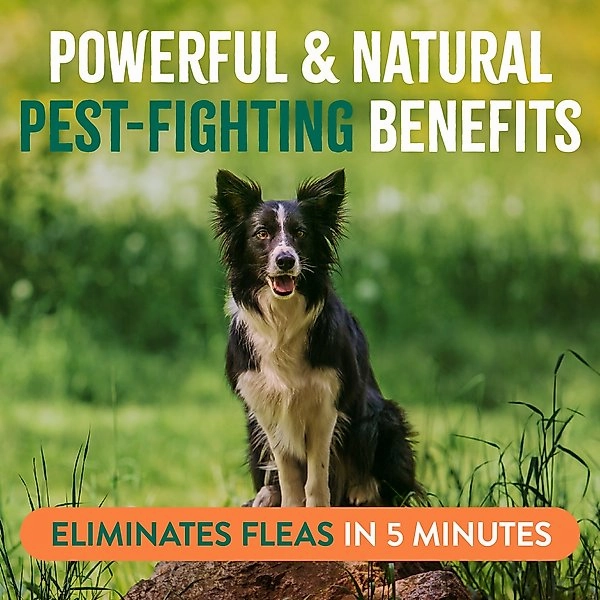 TropiClean Natural Flea & Tick Easy Mist Spray for Dogs