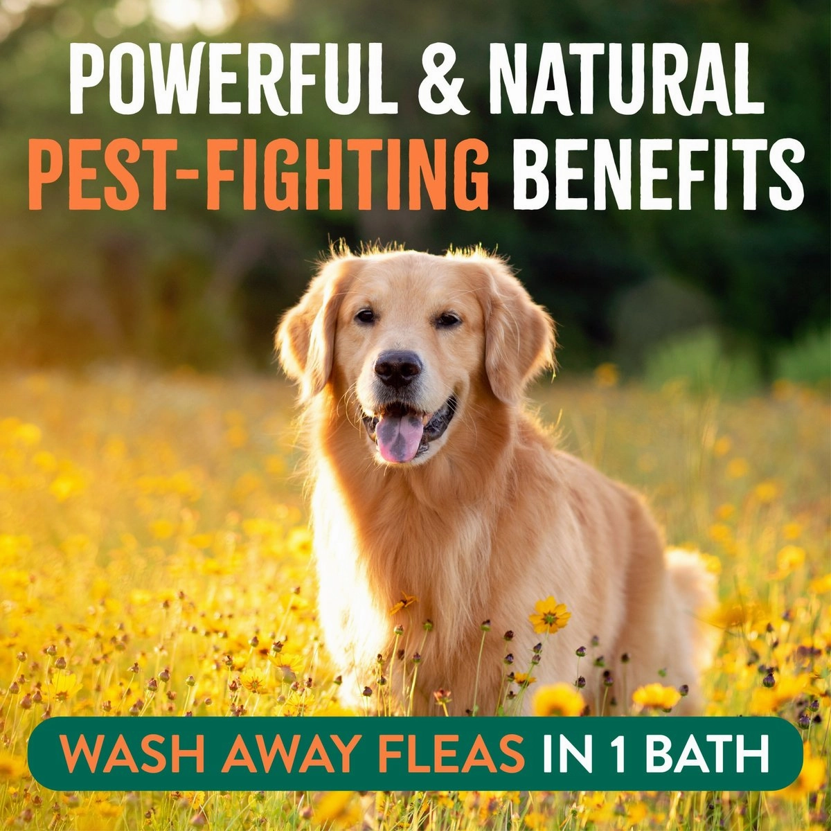 TropiClean Natural Maximum Strength Flea & Tick Treatment Shampoo for Dogs