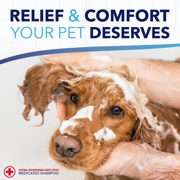 TropiClean OxyMed Medicated Itch Relief Oatmeal Conditioner Treatment for Dogs