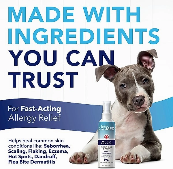 TropiClean OxyMed Medicated Itch Relief Soothing Spray for Dogs