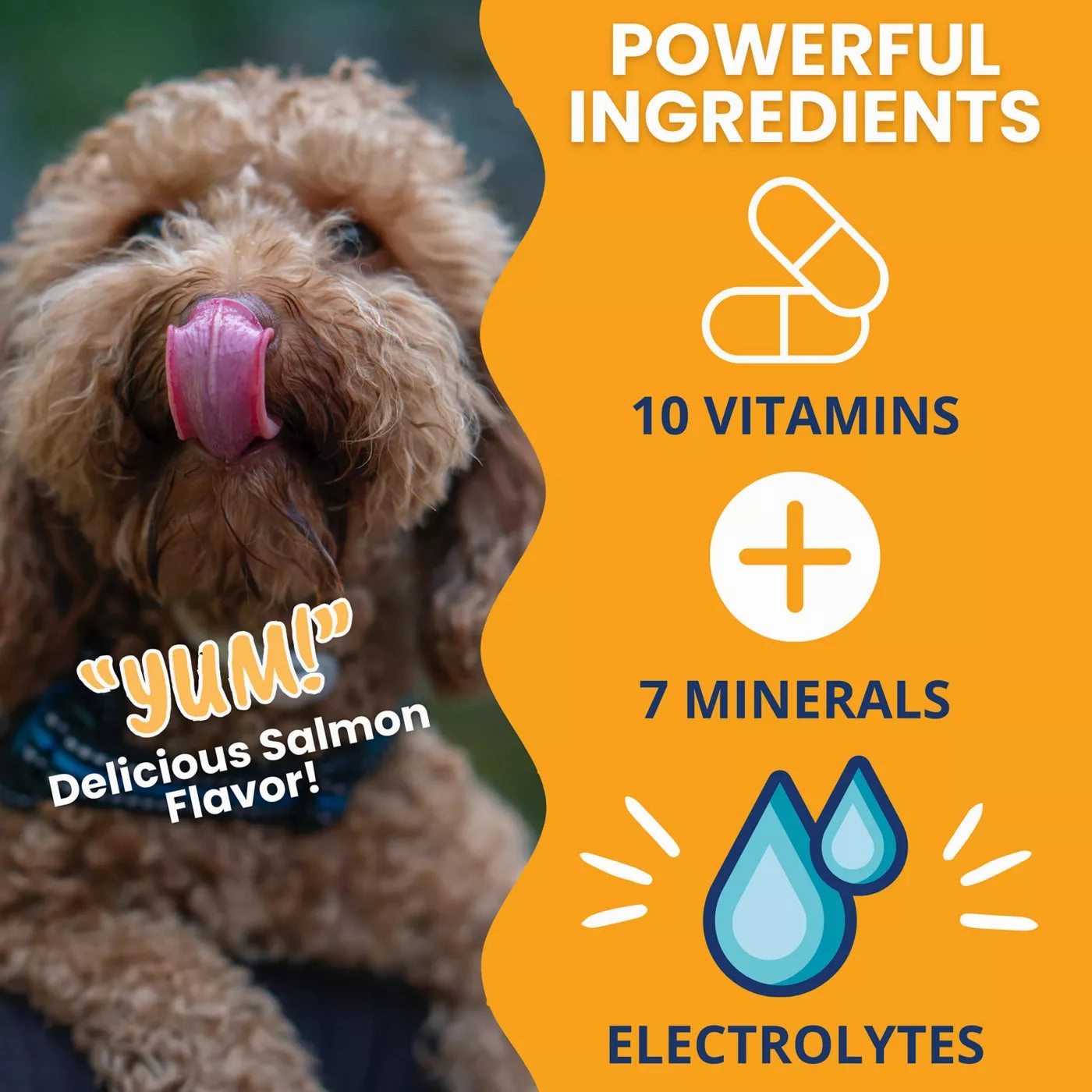 Under the Weather Ready Cal Plus Electrolytes High-Calorie Supplement for Dogs