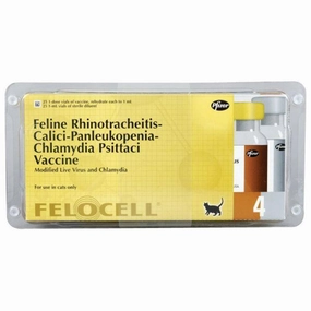 Vanguard Feline RCP Ch Cat Vaccine (25 x 1ml)
