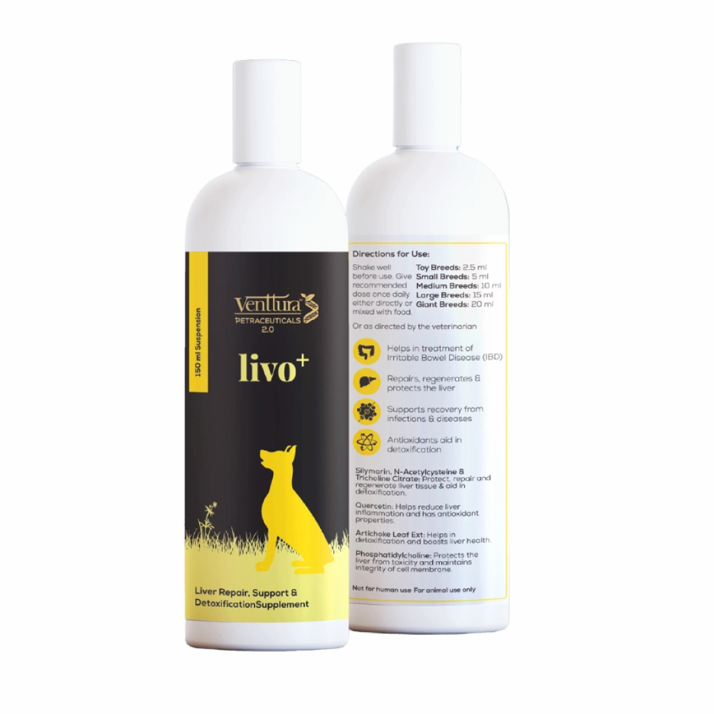 Venttura Livo Plus Liver Supplement Syrup for Dogs