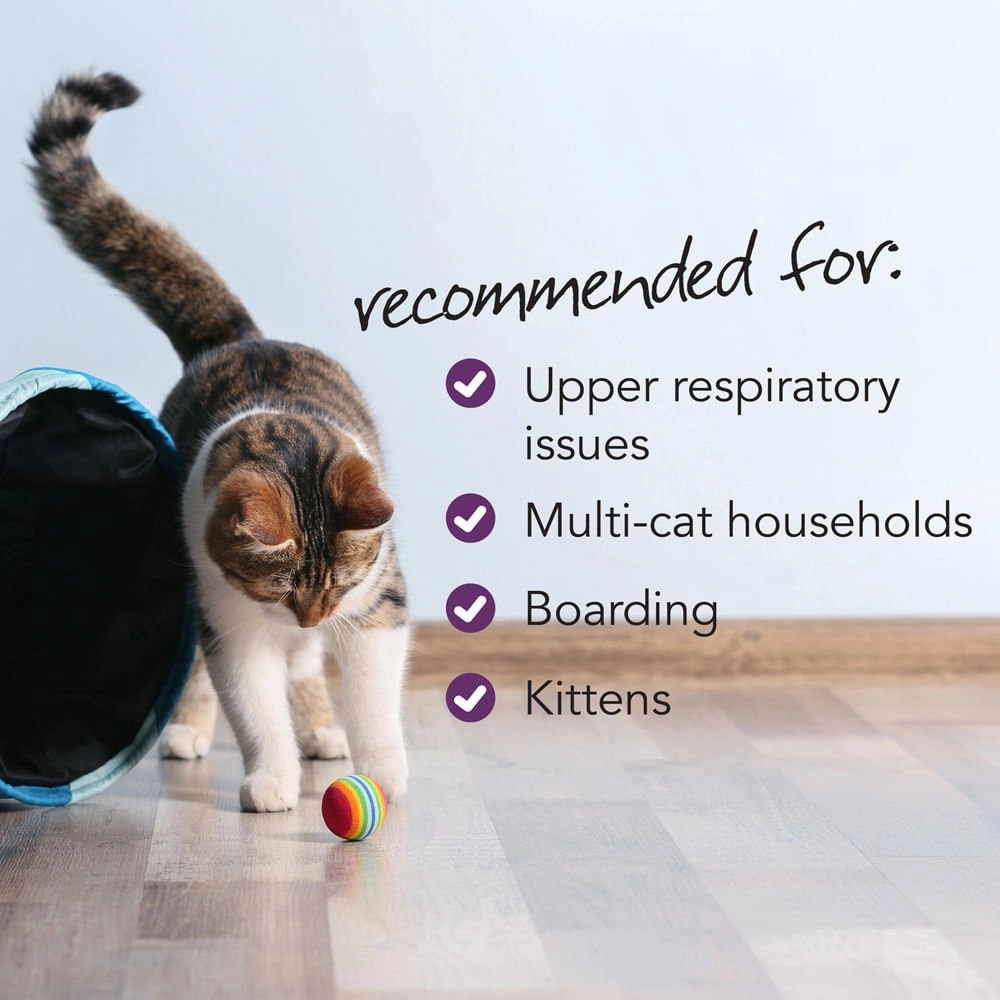 Vetri Lysine Plus for Cats, 120 Bite-Sized Chews