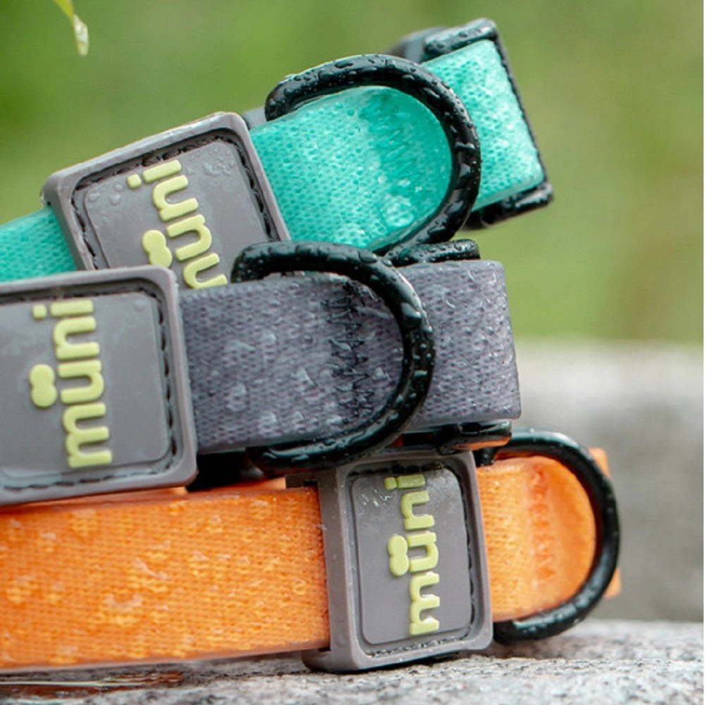 Water-Block Collar Mint
