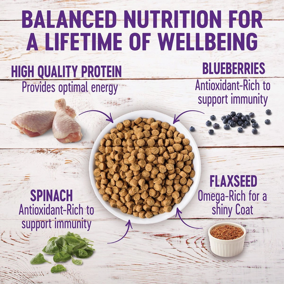 Wellness Complete Health Grain Free Puppy Deboned Chicken, Chicken Meal and Salmon Meal Recipe Dry Dog Food