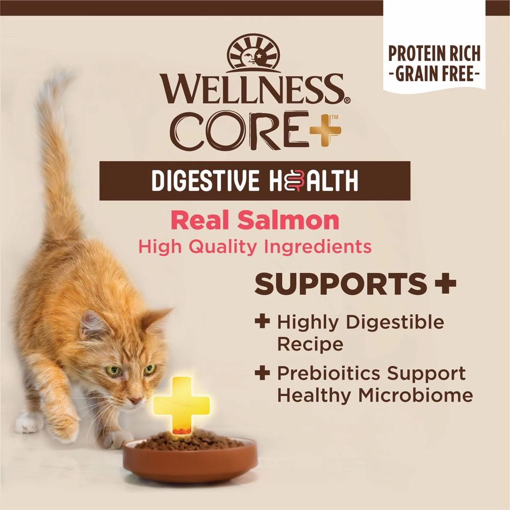Wellness Core  Digestive Health Salmon Pate Grain-Free Canned Cat Food 85g