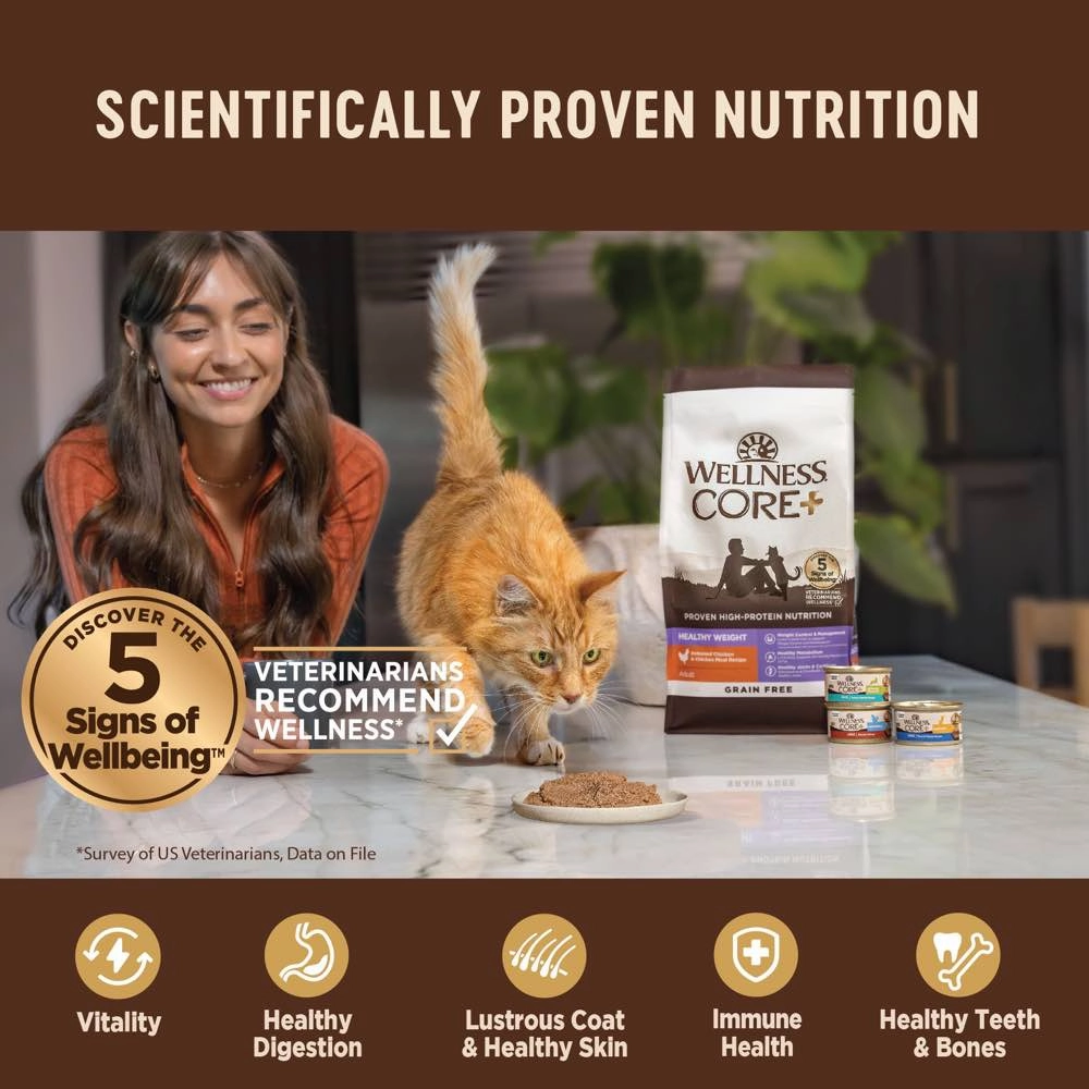 Wellness Core  Digestive Health Salmon Pate Grain-Free Canned Cat Food 85g