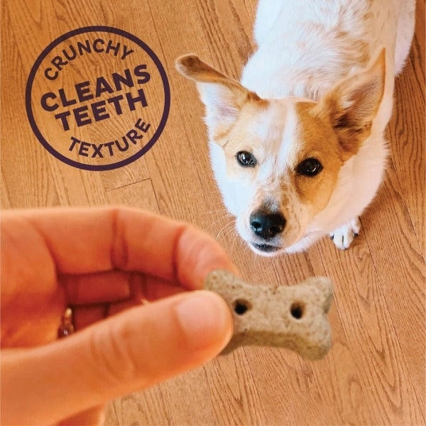 Wellness Old Mother Hubbard Liv'R'Crunch Oven-Baked Dog Biscuits; Mini