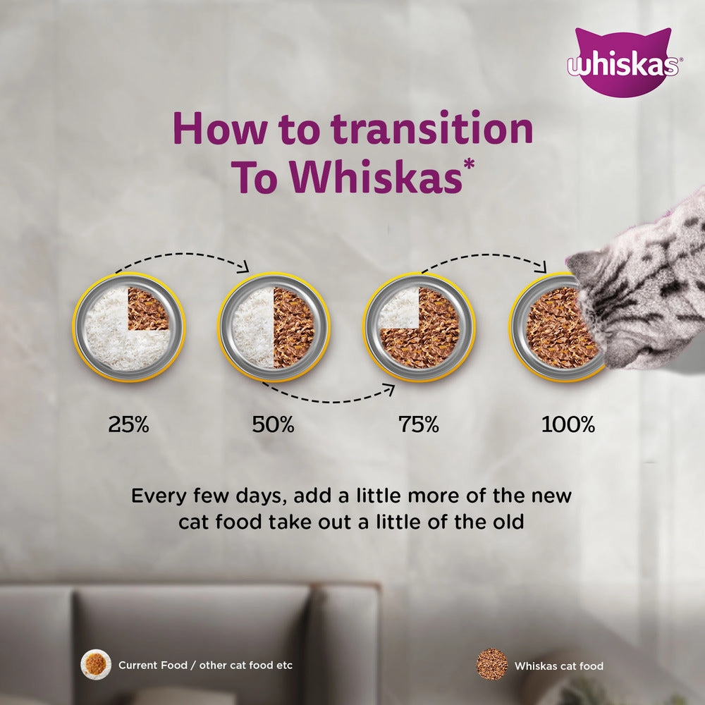 Whiskas Salmon in Gravy Meal Adult Cat Wet Food
