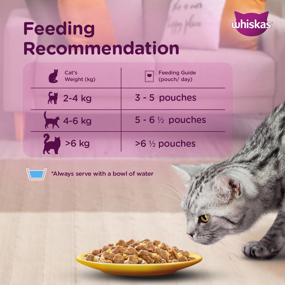 Whiskas Tuna in Jelly Meal and Ocean Fish Adult Cat Wet Food Combo