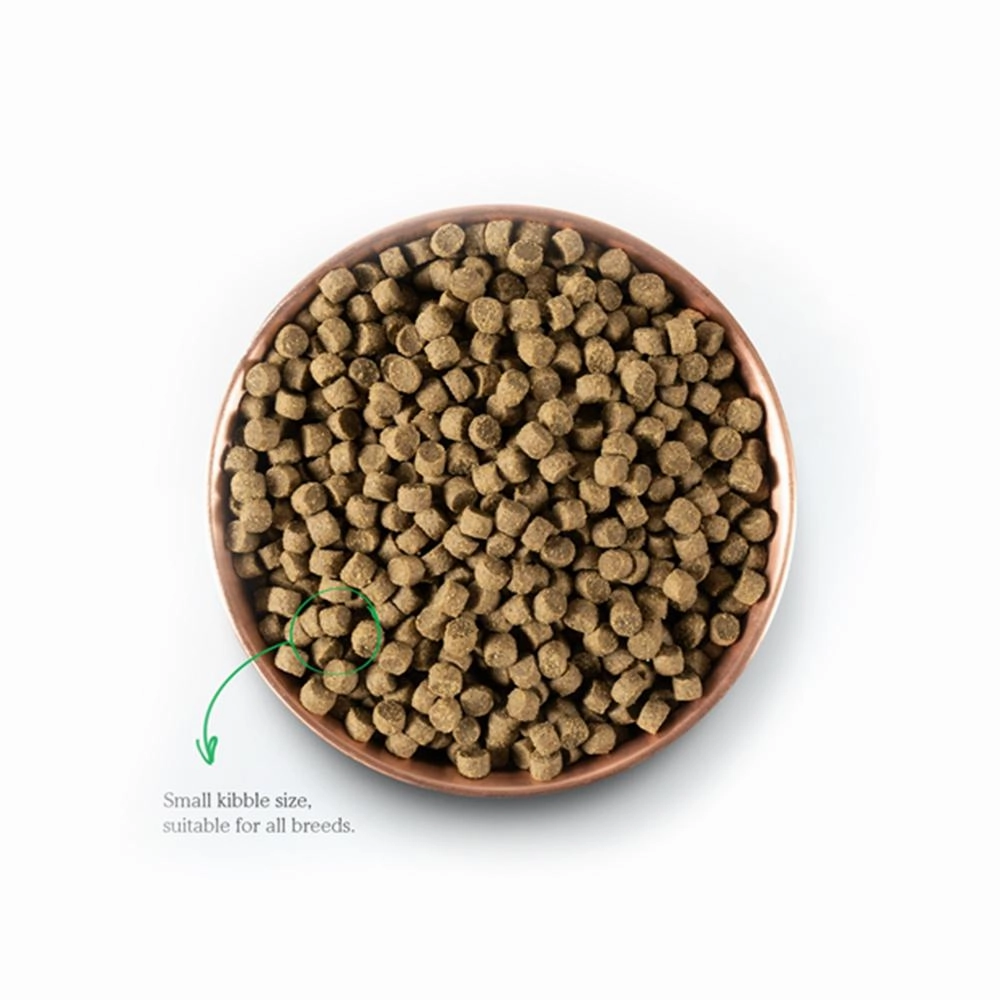 Wild-Caught Salmon Dog Dry Food