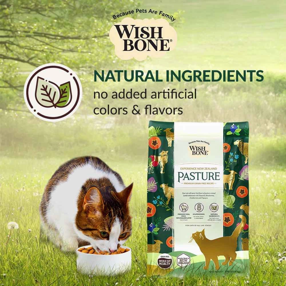 Wishbone Pasture Lamb & Chicken Grain-Free Dry Cat Food 4lb
