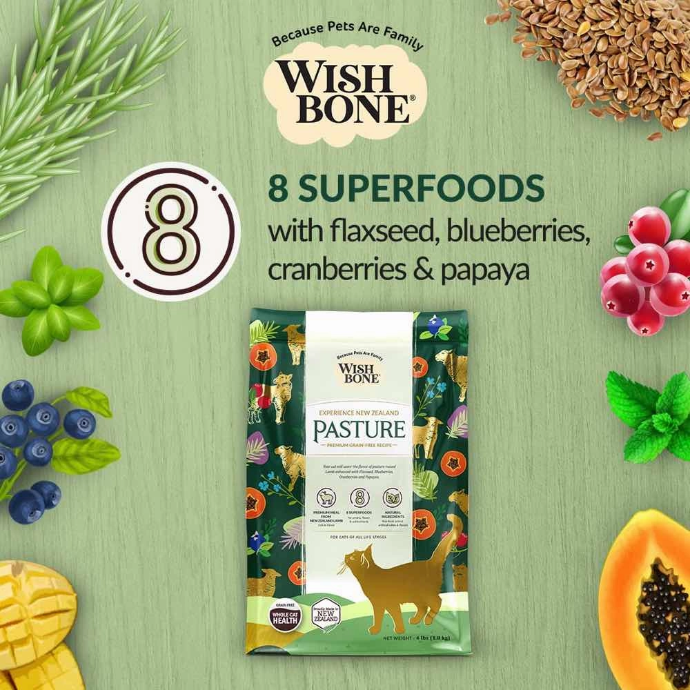 Wishbone Pasture Lamb & Chicken Grain-Free Dry Cat Food 4lb