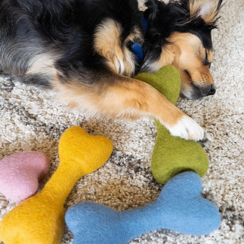 Wool Bone Dog Toy Wildflower