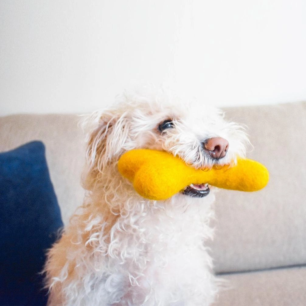 Wool Bone Dog Toy Wildflower