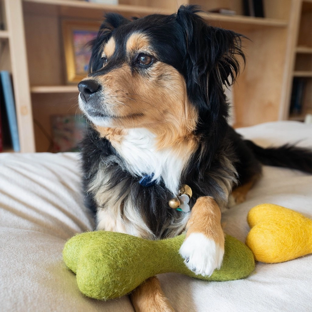 Wool Bone Dog Toy Wildflower