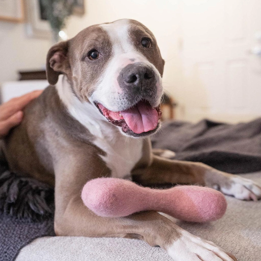 Wool Bone Dog Toy Wildflower