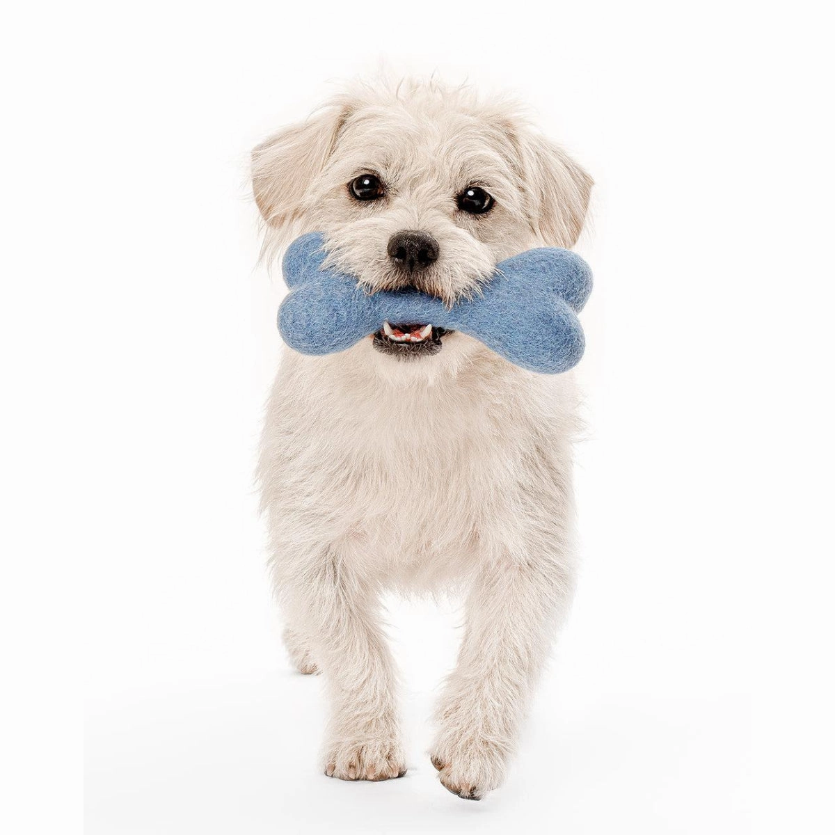 Wool Bone Dog Toy Wildflower