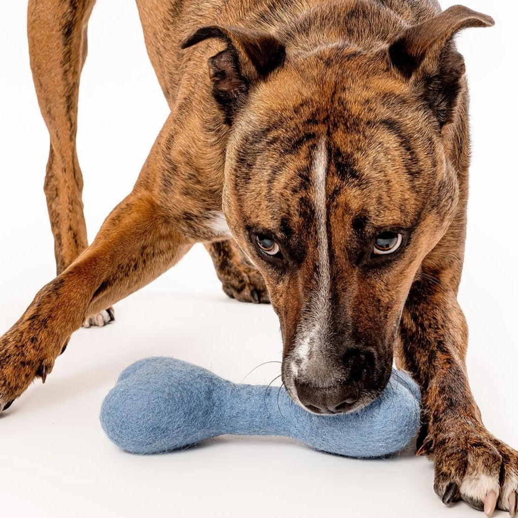 Wool Bone Dog Toy Wildflower