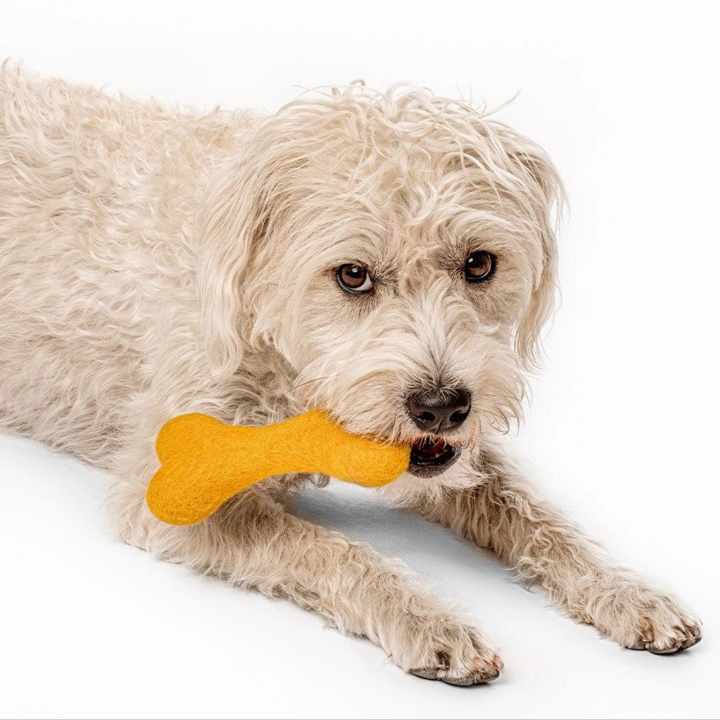 Wool Bone Dog Toy Wildflower