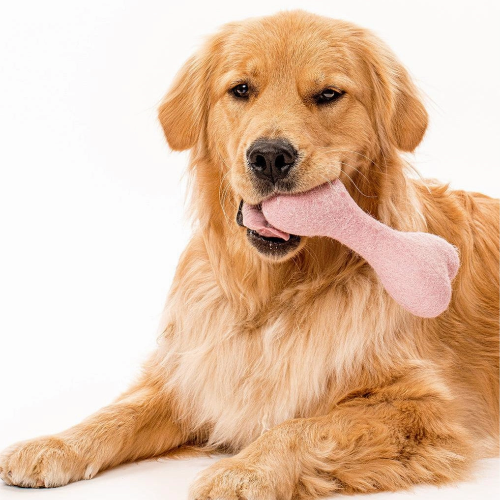 Wool Bone Dog Toy Wildflower