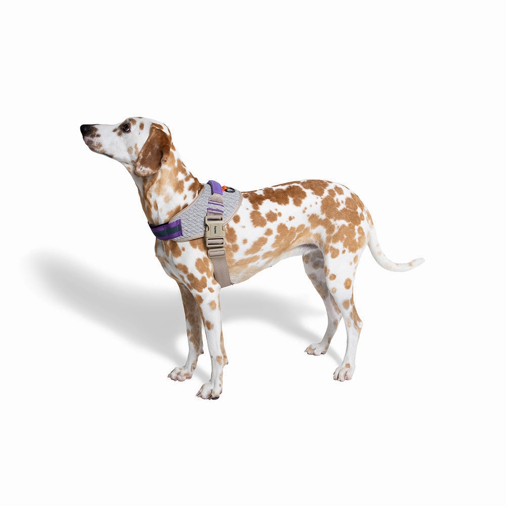 Zee.Dog FlyHarness ACG Size 5