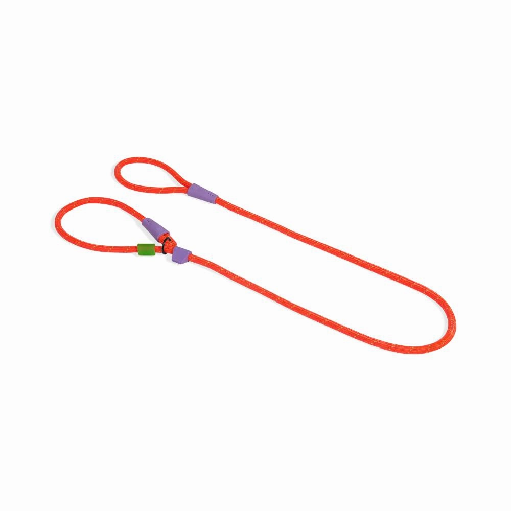 Zee.Dog Slip-N-Lock Leash Everest