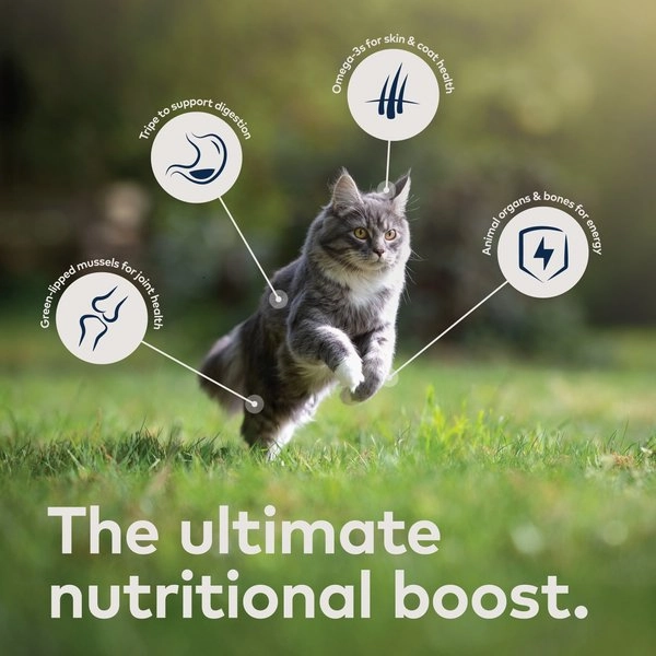 ZIWI Peak Air-Dried Beef Recipe For Cats